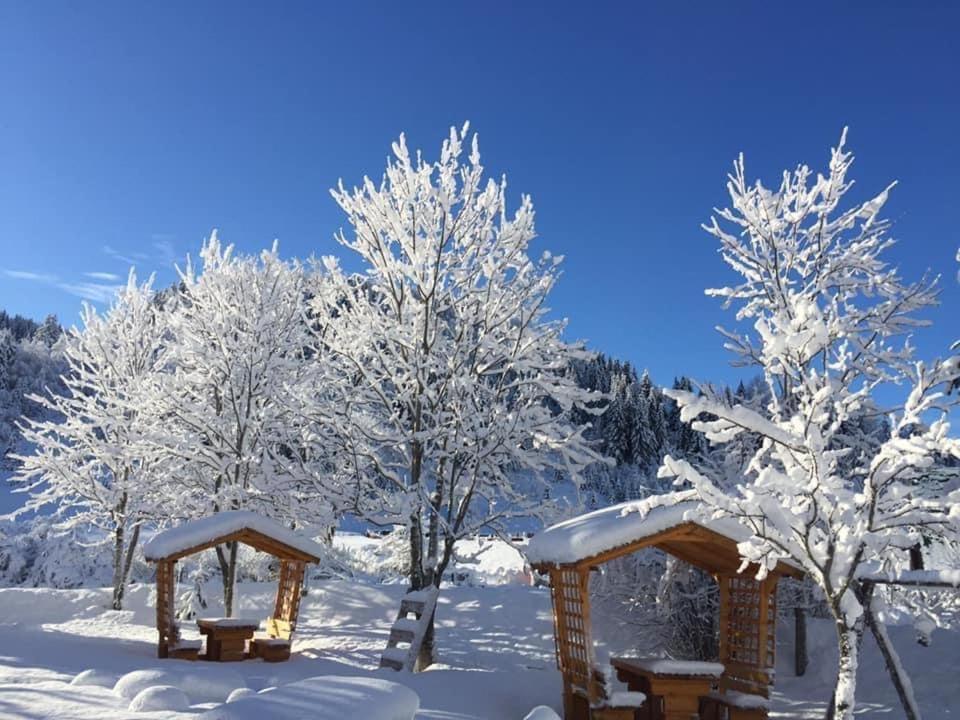 Apartman - Sobe Tiha Luka, Bjelašnica Extérieur photo